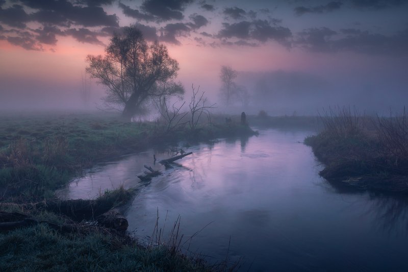 foggy, river, tree, misty, morning, water, dawn, jeziorka, valley, fog, landscape, nature Foggy morning in the Jeziorka valleyphoto preview