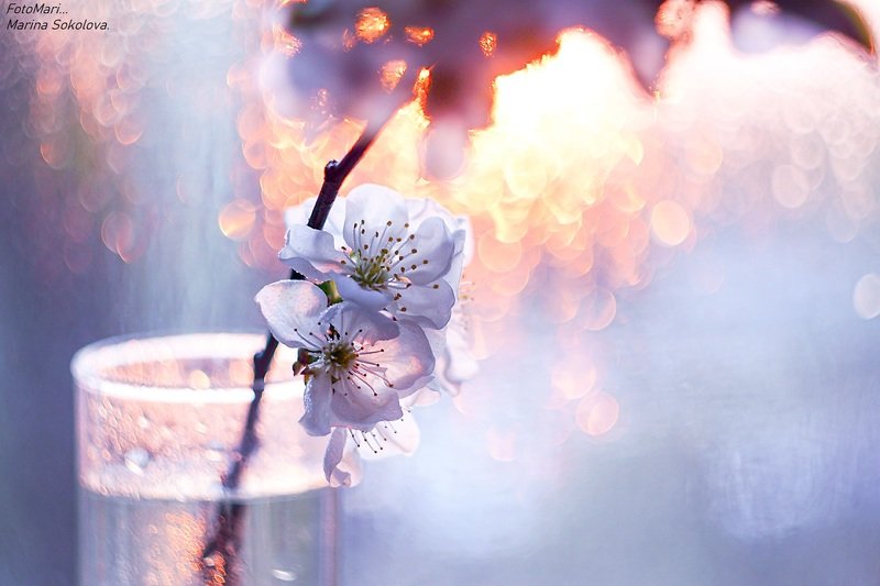 Весенняя пастель...photo preview