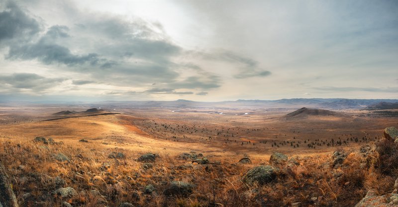 Поле брани. фото превью