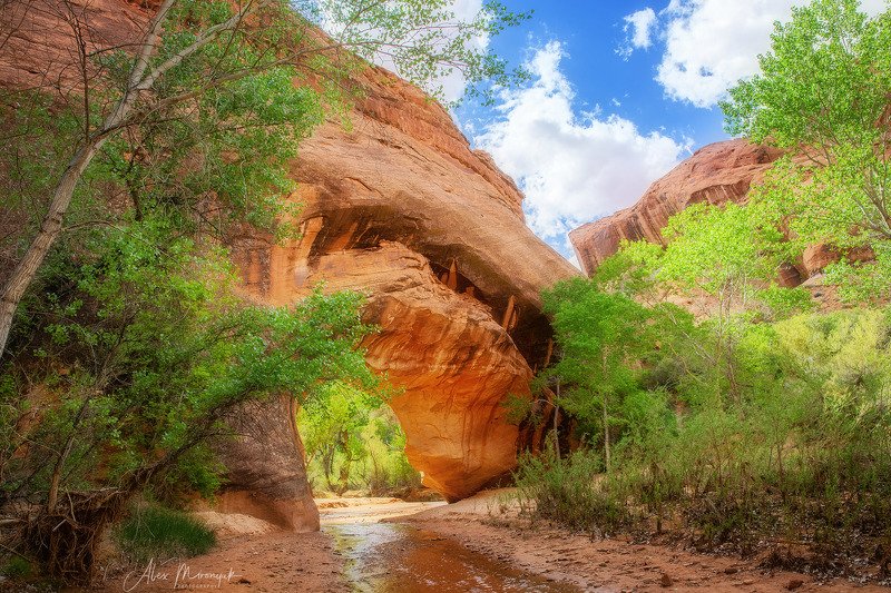 каньон, сша, мост, арка, природа, путешествие, фото-тур, юта, скала, река, ручей, небо Натуральный мост в ущелье Койота, Ютаphoto preview