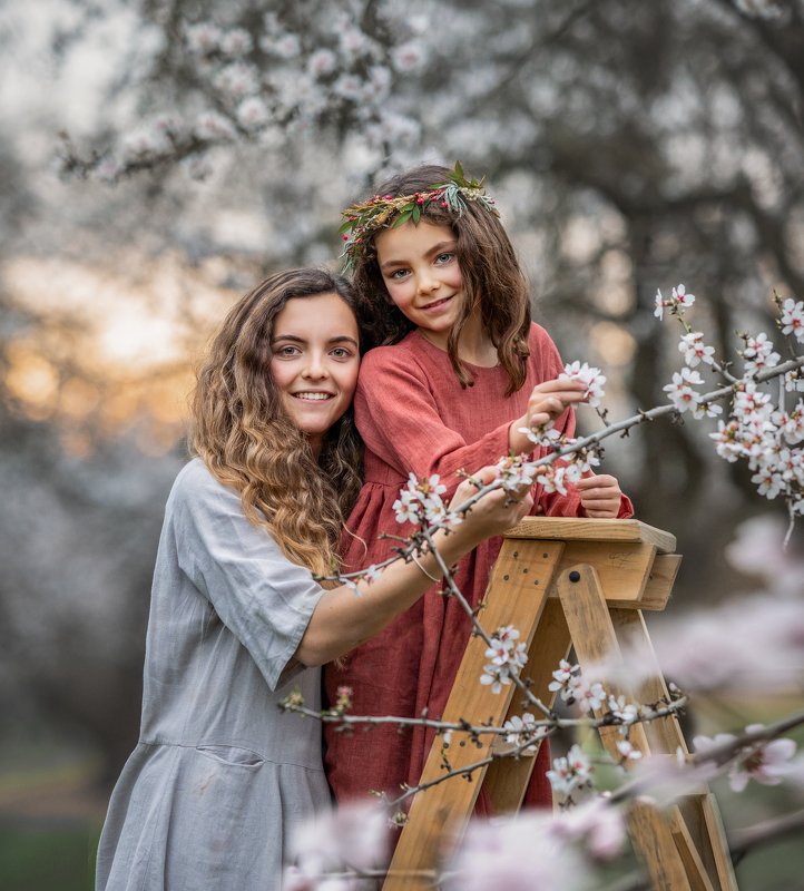 Almond blossomphoto preview