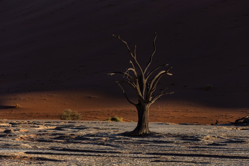 Namibia Deadvlei фото превью
