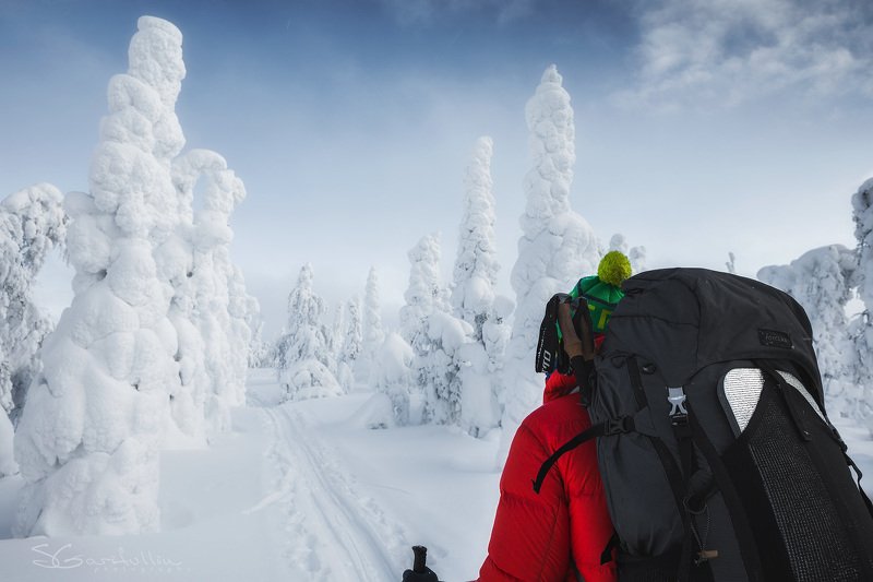 Зимний пейзаж, зимний поход, лыжня, Урал, Северный Урал, Лямпа, ГУХ, Главный уральский хребет Походphoto preview