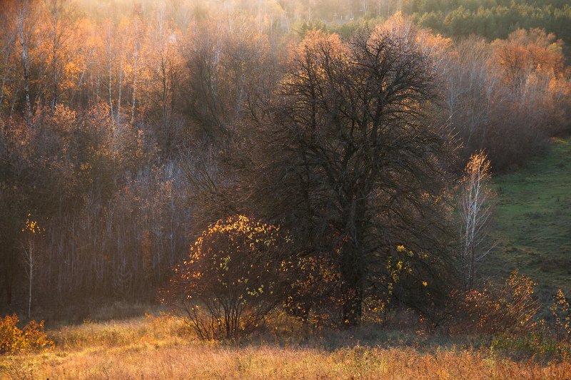 Васильков, Пески, Украина, alexey, алексей,  Медведев,  Васильків, Vasilkov, Medvedev, viter, viterman	 Окраины Васильковские  фото превью