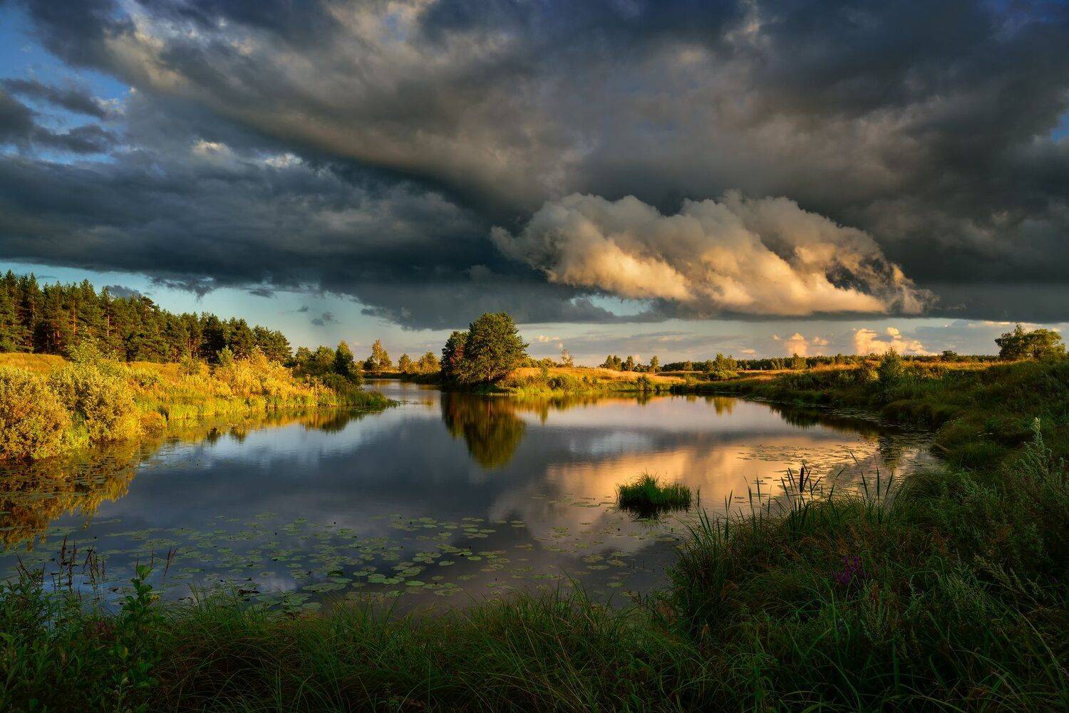летние контрасты. Автор: Виталий Полуэктов лето,небо,тучи,заводь,свет, Виталий Полуэктов