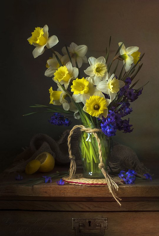 натюрморт с нарциссами,весна,букет,цветы,художественное фото,искусство. photo preview