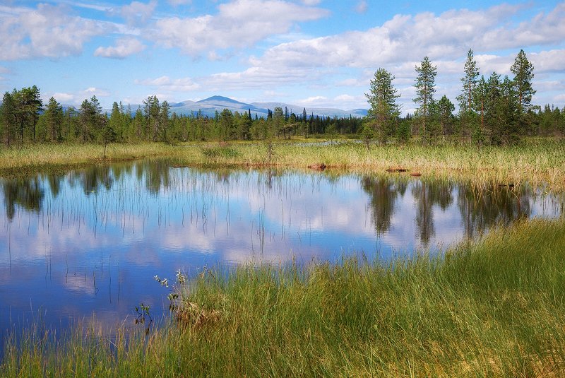кольский, закат, вода, белые ночи Кольский пейзаж фото превью