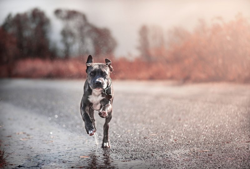 Движениеphoto preview