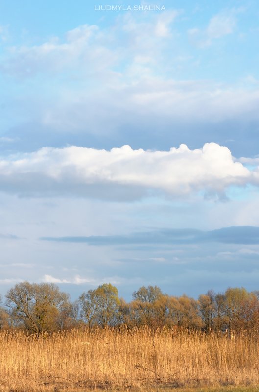 весна , луг , небо , облака На лугуphoto preview