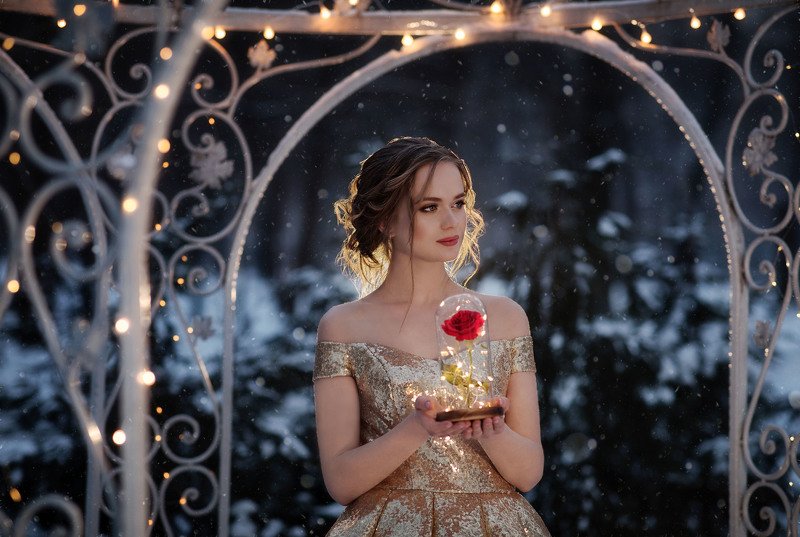 портрет, семейная фотография, фотограф, Алматы, Казахстан, фотограф Алматы, семья, красиво, девушка, Алматы фотограф, awesome, amazing, nature, landscape, kazakhstan, almaty, photographer,  sunset, beauty, постановочная фотография Бель (Красавица и Чудовище)photo preview