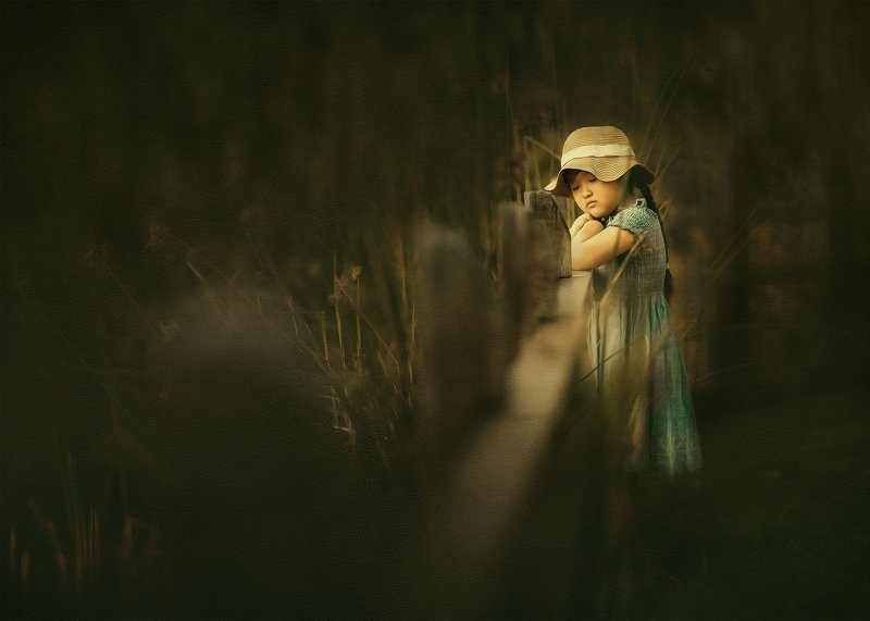 Reveriephoto preview