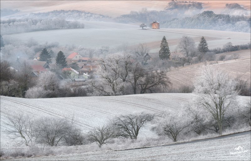 чехия, южная моравия, зима, рождество, czech, south moravia, Зимний сон ..photo preview