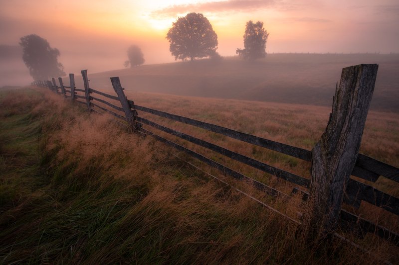 landscape, nature, sunrise, fog, mist, meadow, fence, autumn, trees, tree,  Sunrise in meadowsphoto preview