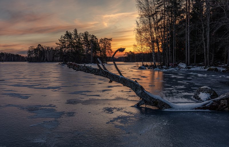 местная Нессиphoto preview