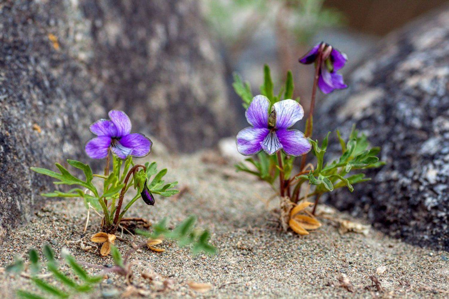 южный урал,оренбургская область, орск, новотроицк,алтай алтайский край, Качурин Алексей