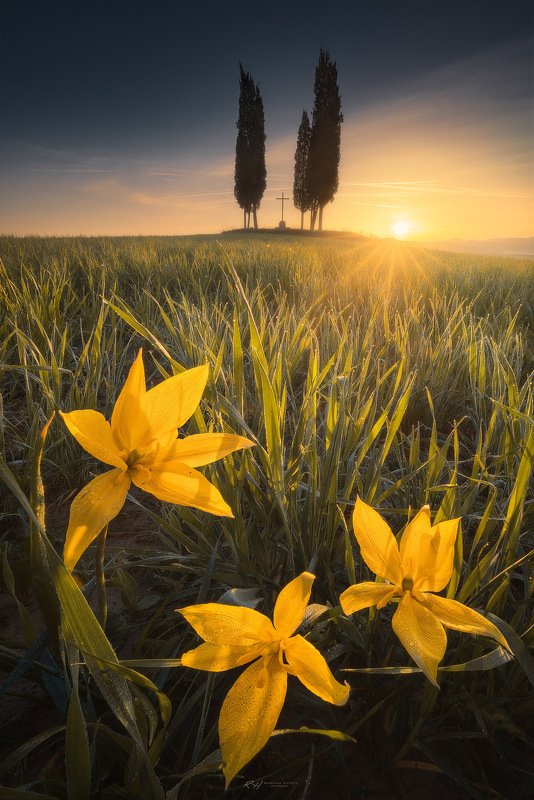 #landscape #toscana #italy #fineart #sunrise “Spring awakening”photo preview