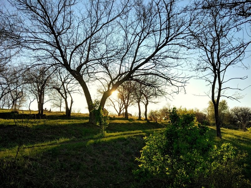 апрель,вечер,пейзаж,весна,закат,цвет,зелень,landscape,вид,солнце,небо,дерево, Апрель.Вечереет...photo preview
