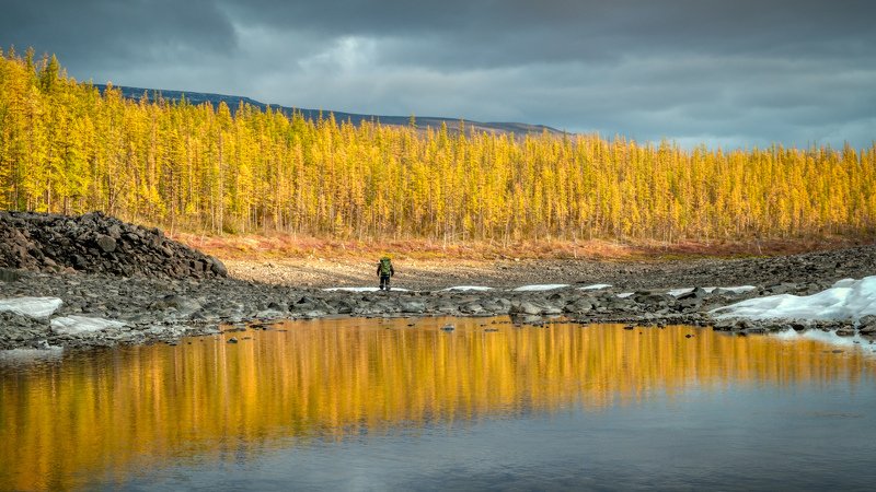 осень, путорана, пейзаж, fujifilm Золотая осень Путорана. фото превью