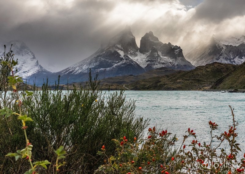 Patagoniaphoto preview