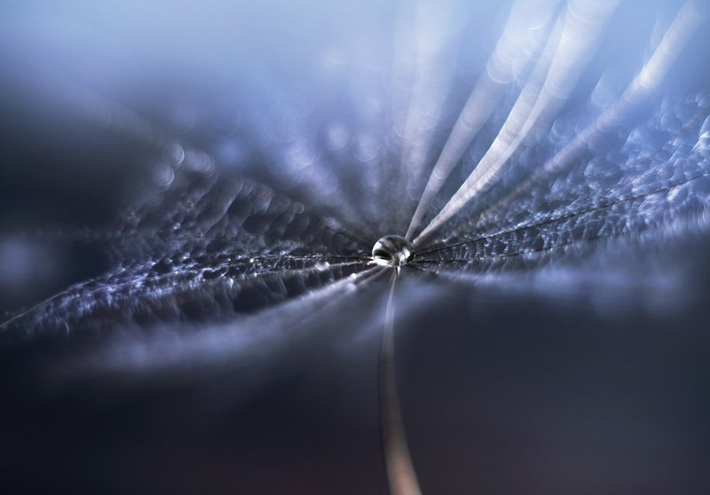 параллельные мирыphoto preview