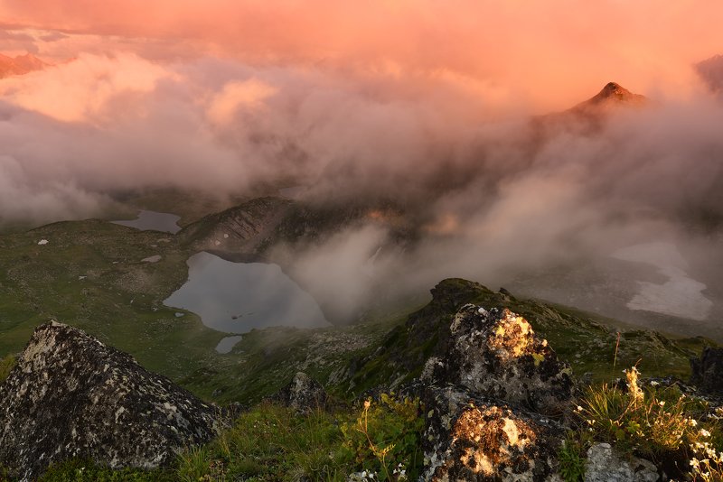 Розовые мечты...photo preview