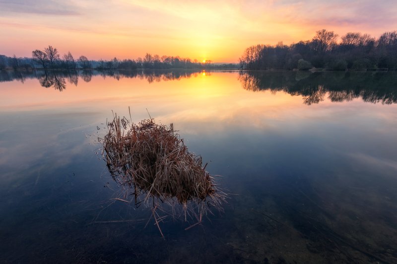landscape, tree, sunrise, panorama Morning at Poděbradyphoto preview