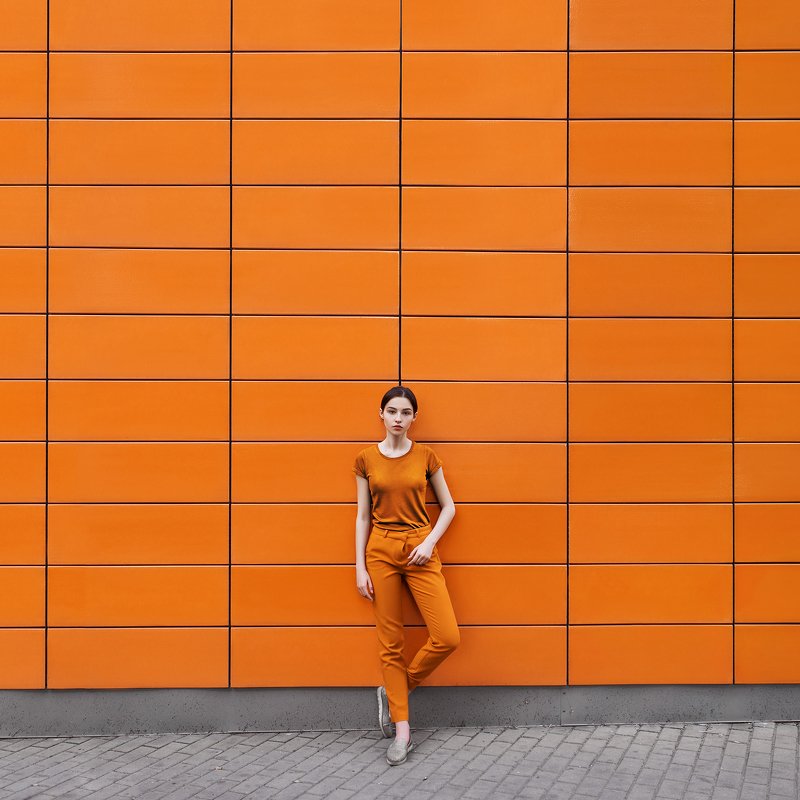 Хамелеонphoto preview