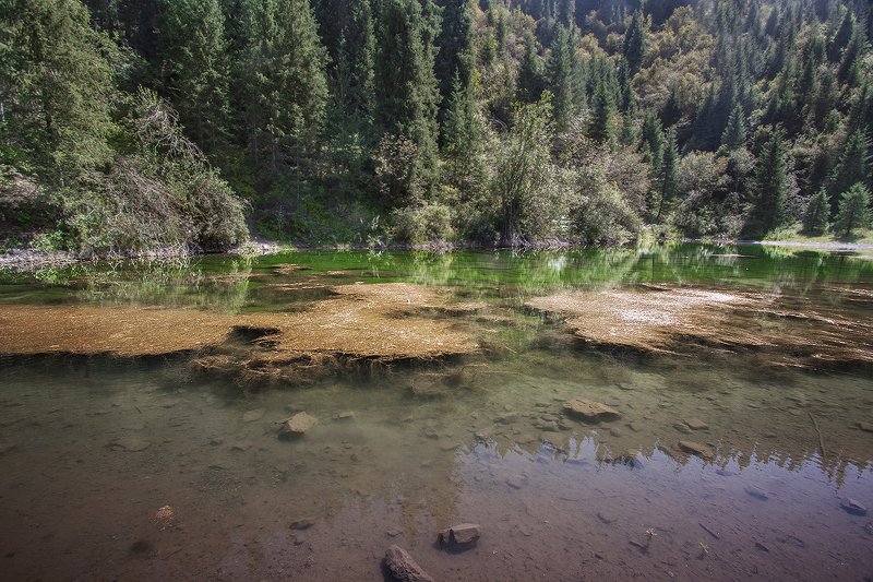 природа озеро лес казахстан Безымянное озероphoto preview