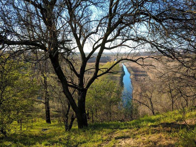 апрель,весна,пейзаж,краски,зелень,солнце,небо,река,landscape,сюжет,природа,nature,sky,свет ***photo preview