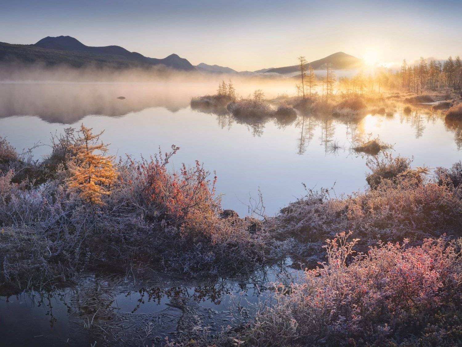 туман, осень, колыма, озеро, иней, Дмитрий Медянцев