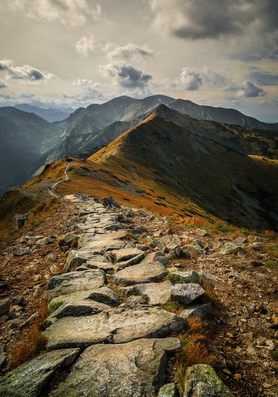 Let\'s go. фото превью