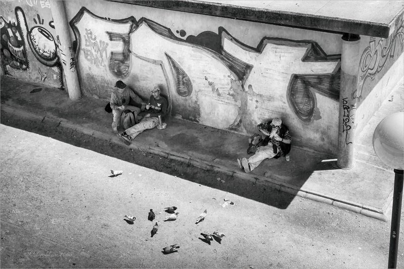 люди, голуби, улица, ч/б Голубиphoto preview