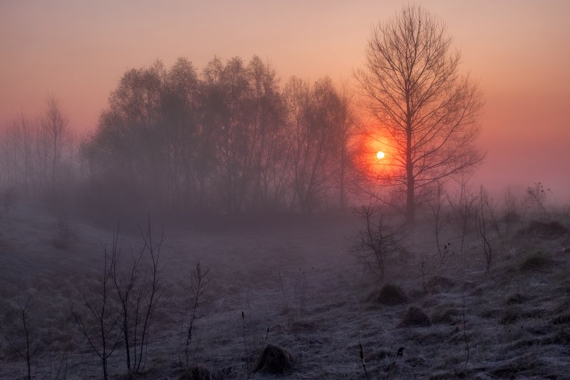 Туманное утроphoto preview