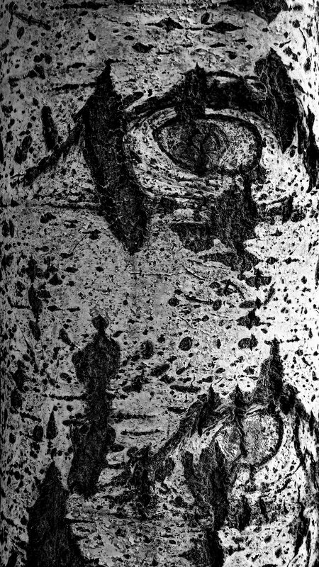 #смотри Глаз да глазphoto preview