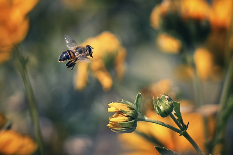 На работу..photo preview