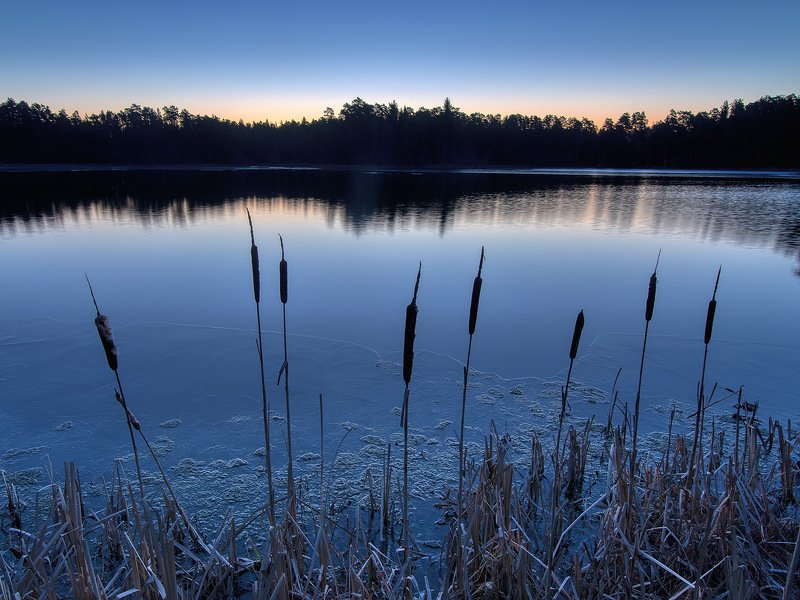 Голубые сумеркиphoto preview