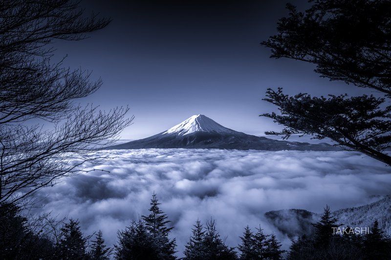 Fuji,Japan,mountain,forest,cloud,tree, Beyond the Forestphoto preview