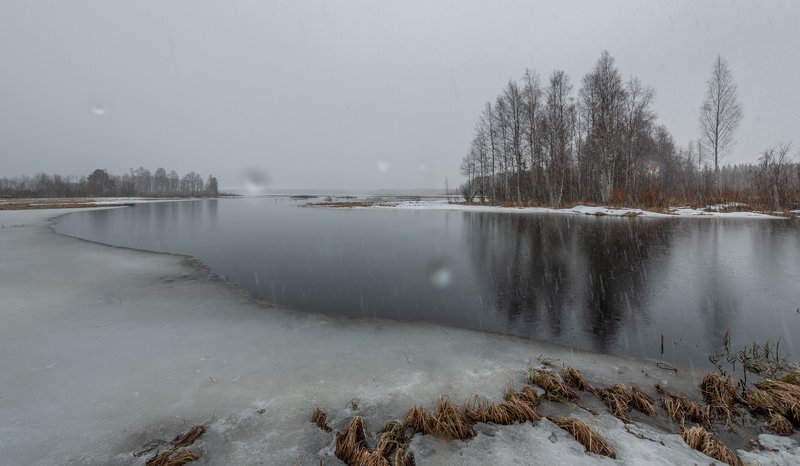 под весенним дождикомphoto preview