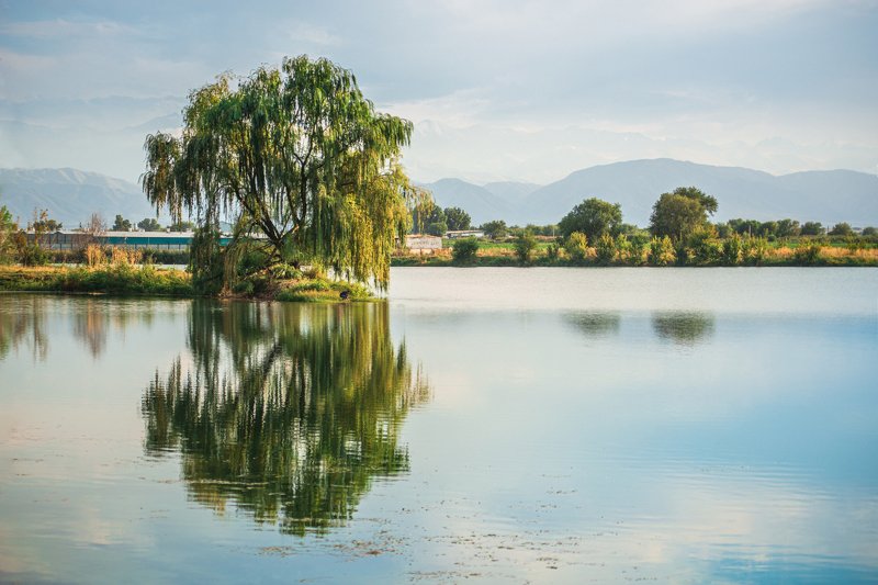 Фотография № 93.4photo preview