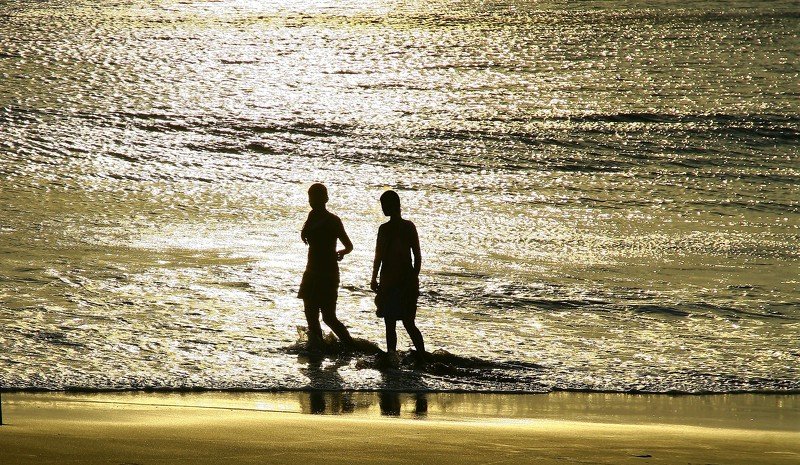 ....за берёзами леса не видно........ фото превью