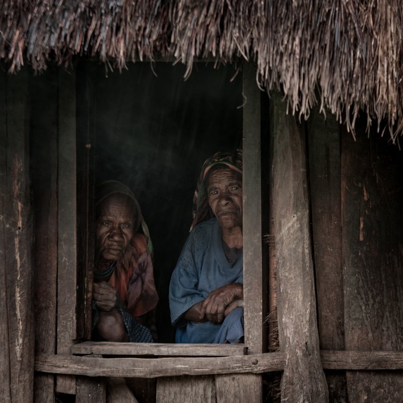 Dani-Papuaphoto preview