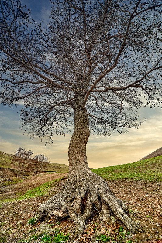 южный урал,оренбургская область, орск, новотроицк, *** фото превью