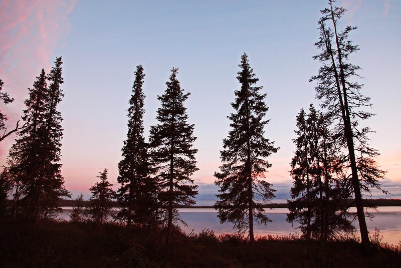 кольский, закат, вода, белые ночи, сосны Умба, белые ночи фото превью