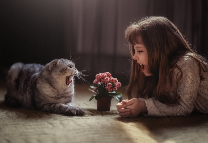 девочка, кот, , дуэт, детство, , ссора, примирение, изоляция, дом, друзья, детство Война мир.photo preview