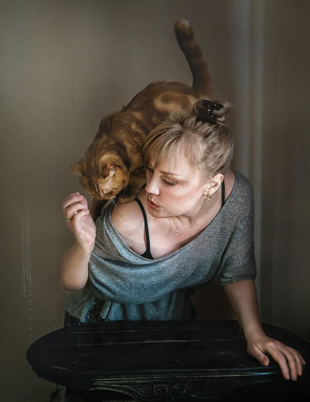 портрет, женщина, жанр, животные, кошки, кот, британец Автопортреты с Рыжикомphoto preview