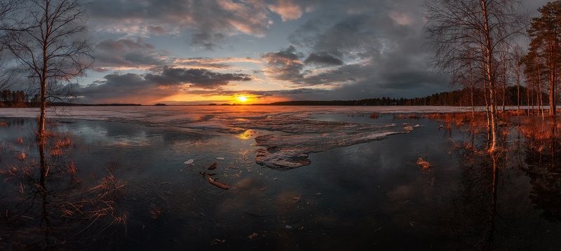 весенняя ностальгияphoto preview