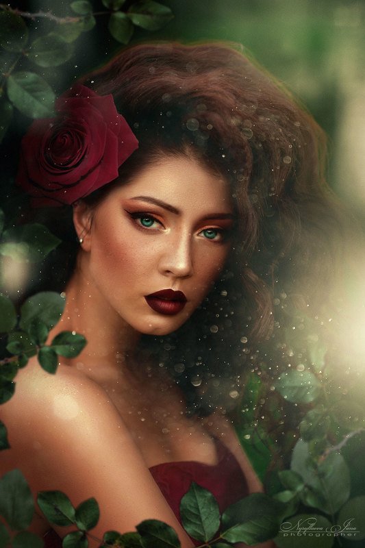 Розаphoto preview