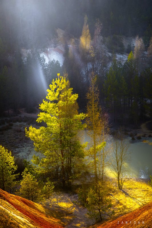 последние лучи,лучи,zanfoar,czech republic,nikon 750,czechia,чехия последние лучиphoto preview