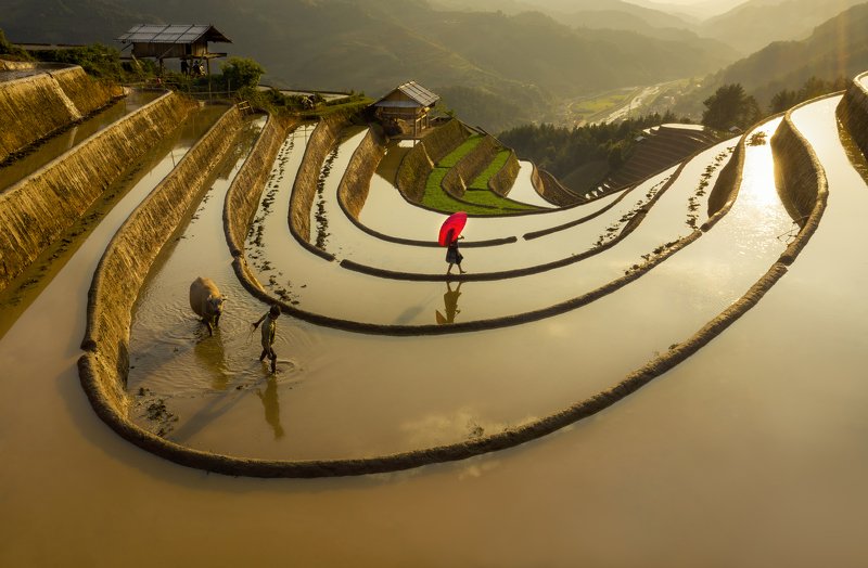 Terrace in Water fall season in Mu Cang Chaiphoto preview