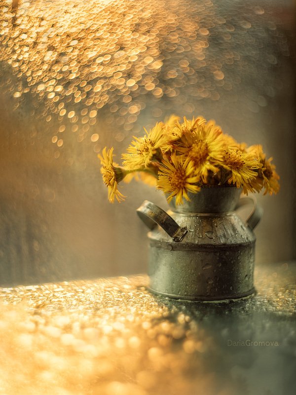 цветы, боке, натюрморт, дарья громова, фотография, фото, фотоарт, фотограф, закат Веснаphoto preview